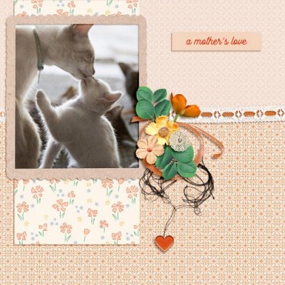 A Mother's love