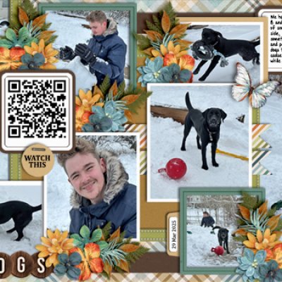 Snow Dogs
