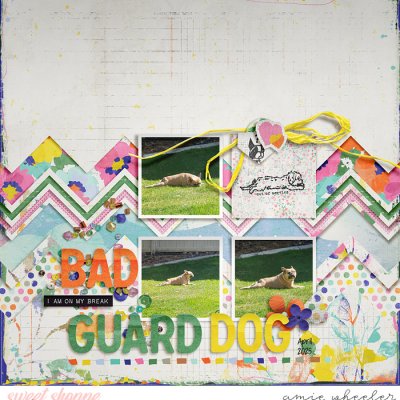 Bad Guard Dog