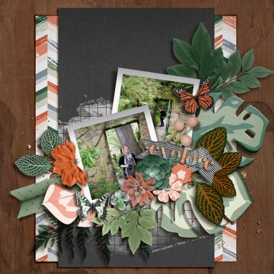 Explore: Abbey Gardens On Tresco