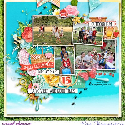 picnic & play