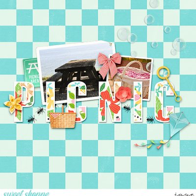 Picnic Fun