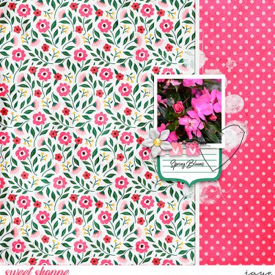 Spring Blooms
