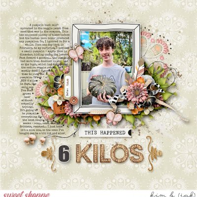 6 Kilos