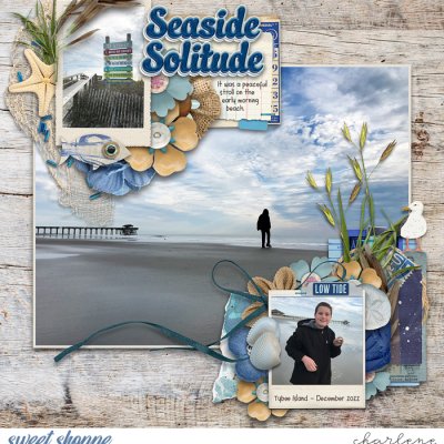 Seaside Solitude