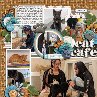 Cat Cafe