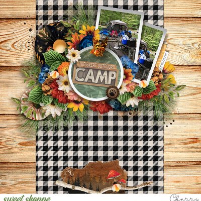 Camp