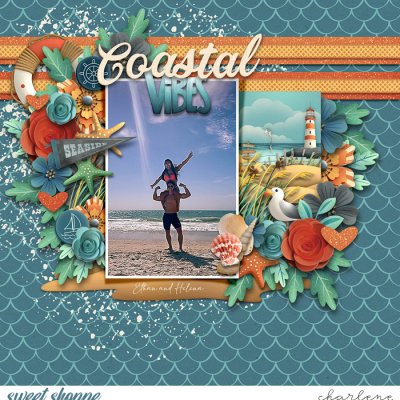 Coastal Vibes