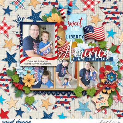 America - Land That I Love