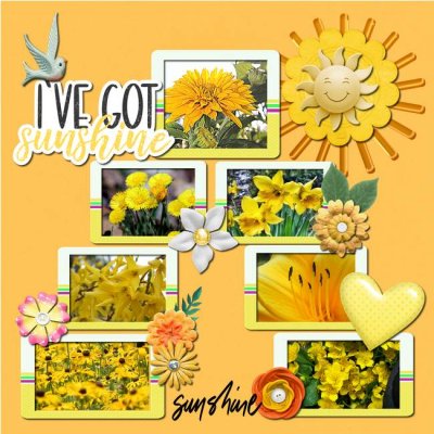 I've Got Sunshine