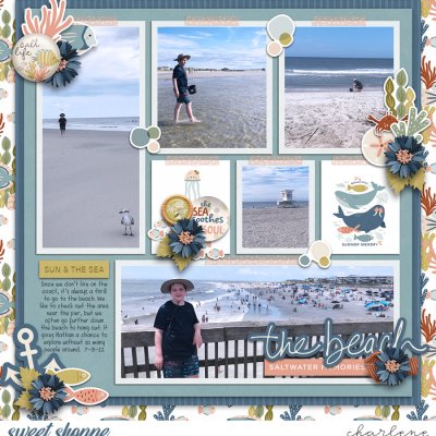 The Beach - Saltwater Memories