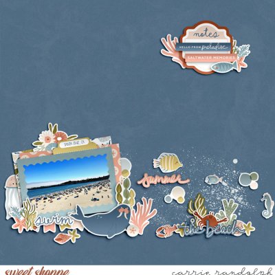 Saltwater Memories