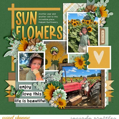Sunflowers