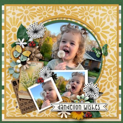 Dandelion Wishes