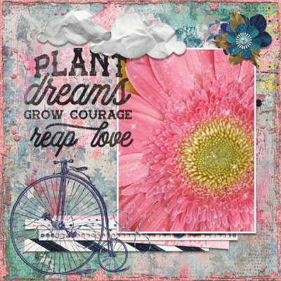 Plant, Grow & Reap