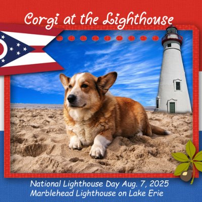 Corgi at the Lighthouse