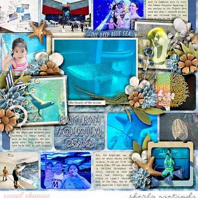 Kaiyukan Aquarium