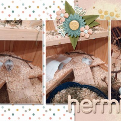 Hermine