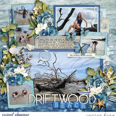 Driftwood Beach