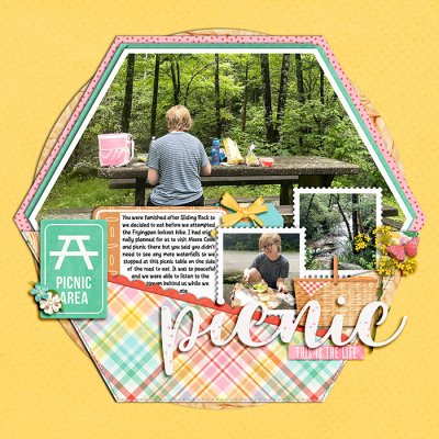 Picnic