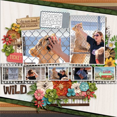 Lion Habitat