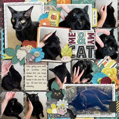 Me and My Cat