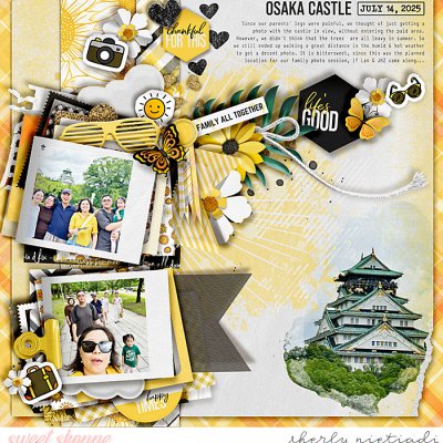 Osaka Castle