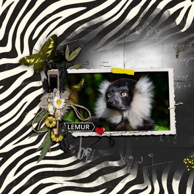 Lemur