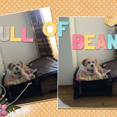 full of beans