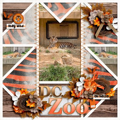 DC Zoo