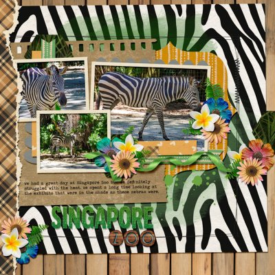 Zebras