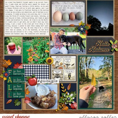 2024 PL 40 week 02