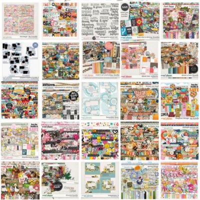 2025summerSAT-wishlist-filled