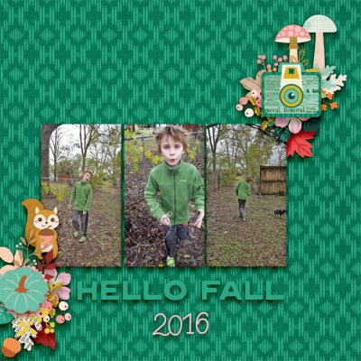 kbc-FallDetails