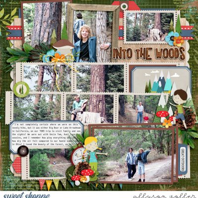 Into the Woods