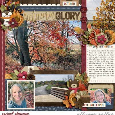 Autumn Glory right