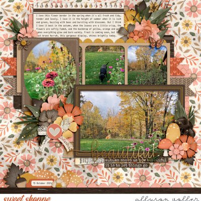 Beautiful Fall