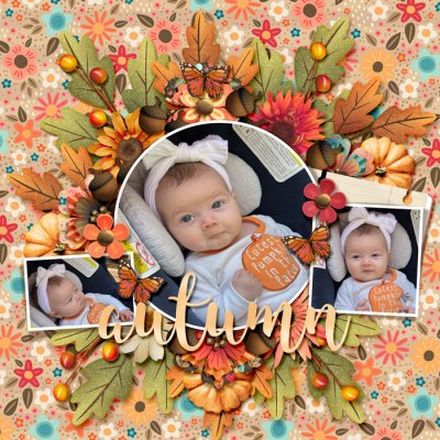 Autumn Cutie