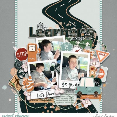 My Learner's License