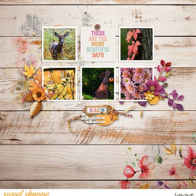 Pieces of Autumn