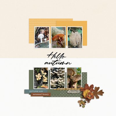Hello Autumn