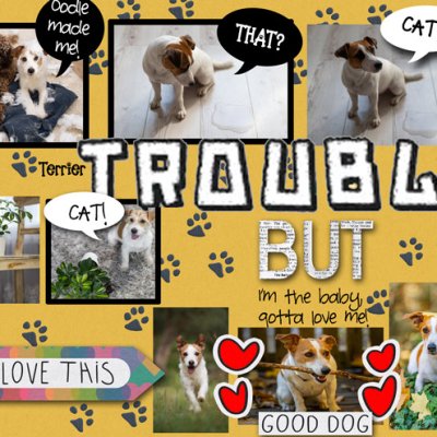 TROUBLE