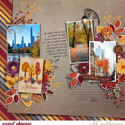 Autumn in NYC