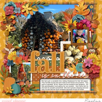 Fall is In the Air