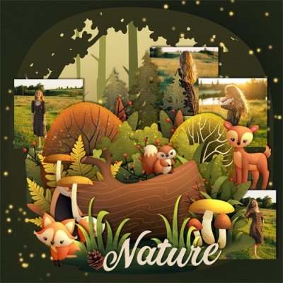 A_Woodland_Adventure