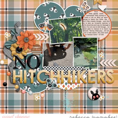 No hitchhikers