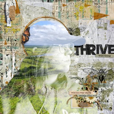 Thrive, Wild Thing