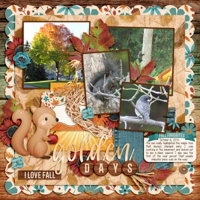 Backyard in fall