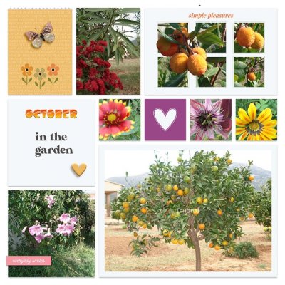 October in the garden