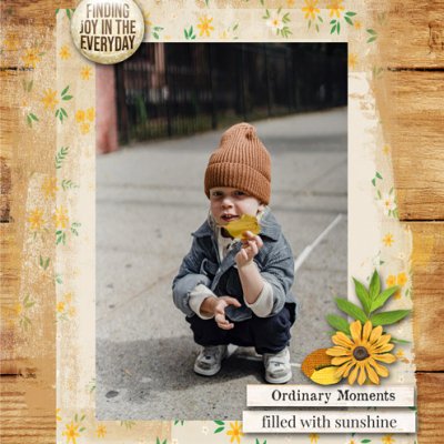 Ordinary Moments